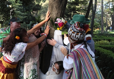 ‘Al die havens zitten vol met ontbossers, Nederland is een echt ontbossingsland’