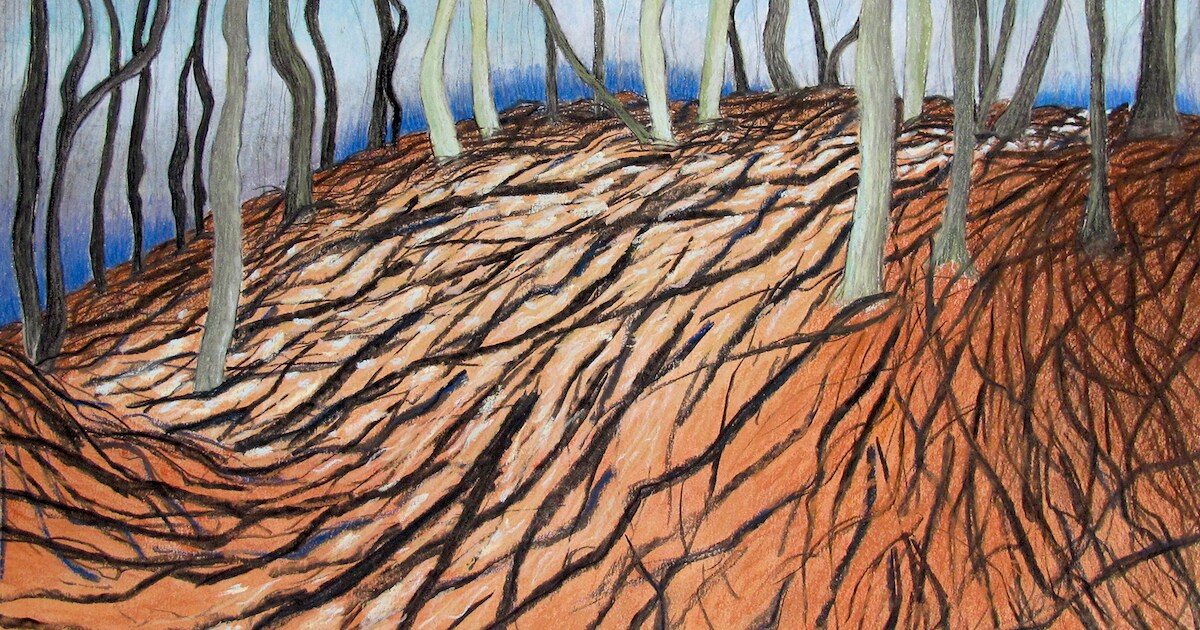 Tekenkunst Monique van Stokkum te zien in Dijkmagazijn Winssen | Beuningen