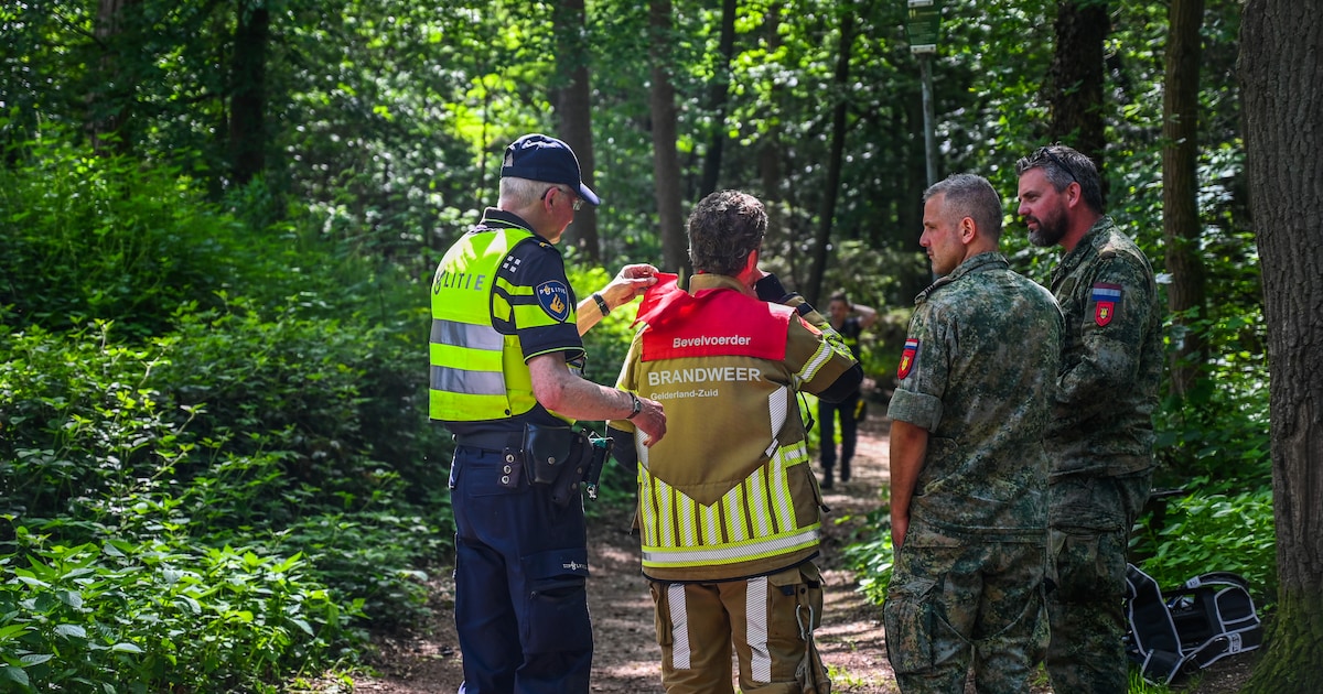 Wandelaars slaan alarm om rook in bos: fosforhandgranaat blijkt opengebarsten