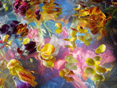 Tentoonstelling van Margriet Smulders is te zien in Dijkmagazijn Winssen