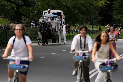 Iconische paardenkoets lijkt langste tijd te hebben gehad in Central Park in New York
