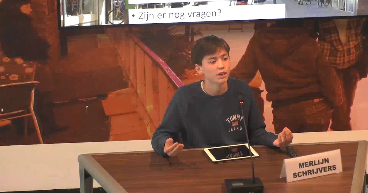 Dankzij Merlijn krijgt Arnhem muurschilderingen en kunstige ...