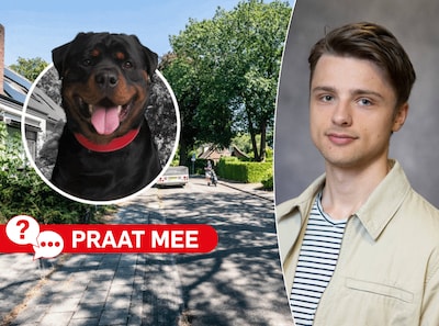 Heb jij weleens te maken gehad met een agressieve hond in de buurt?