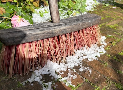 Zit ik vast in de Hema door de hagel, komt er een boer binnen met een foto