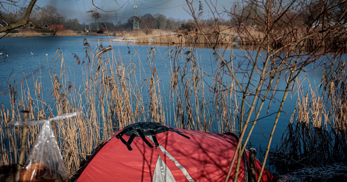 Dakloze Jeremy (41) bivakkeert al maanden in dit tentje in Hengelo: ‘Waarom moet ik pijn lijden?’