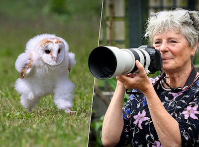 Waarom Japanners maar geen genoeg kunnen krijgen van de foto die Hannie per toeval maakte