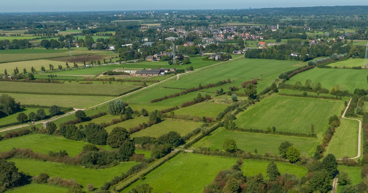 Plannen voor nieuwe geulen langs Maas aangepast: minder diep graven om ...