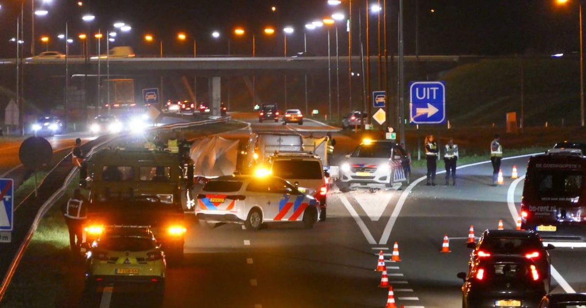 Appende Enschedese automobilist ontloopt cel na dodelijk ongeval A35: mobieltje zat in houder