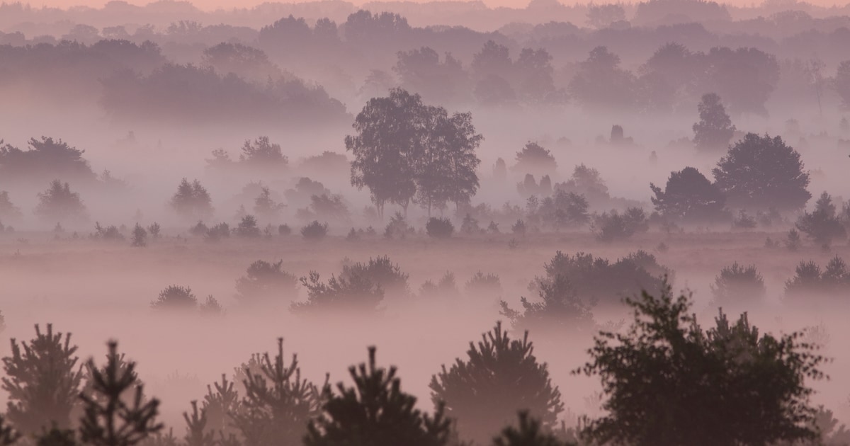 Zwaar bewolkt met wat lichte regen in Montferland in de avond