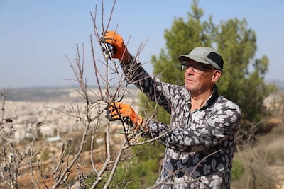 Gerrit helpt Palestijnse boeren op de Westoever: ‘Ze zijn altijd bang voor agressieve acties’