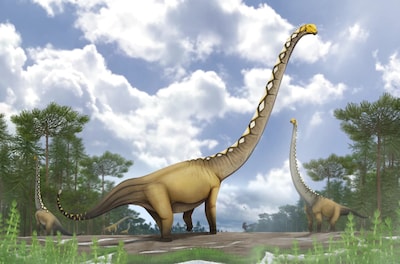 Bijzondere ruggenwervel onthult nieuwe ‘langnekdinosaurus’ in Thailand