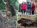 bewoners-nijmeegse-straat-zijn-bevers-helemaal-zat-marcel-liep-zelfs