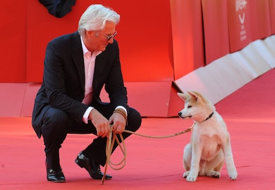 Hollywood vraagt steeds minder échte dieren als acteurs door opkomst van AI