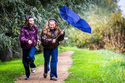 LIVE storm | Zaterdag veel regen en harde wind: vanavond 15 tot 30 millimeter neerslag, aan de kust windkracht 8