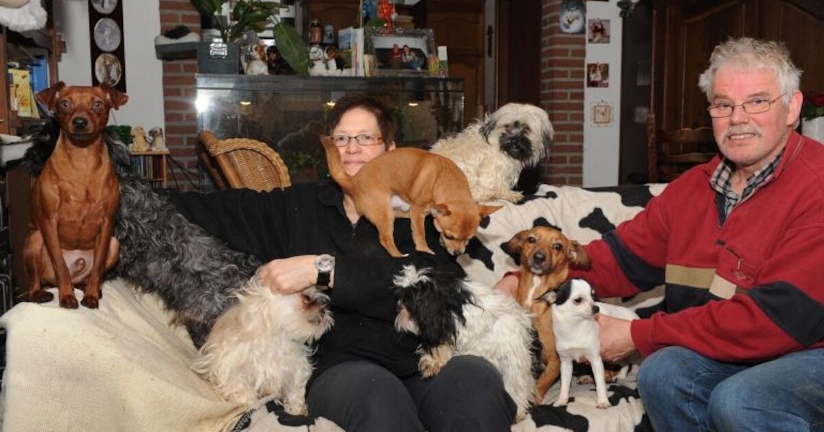 'Honden blijven in Maashees'