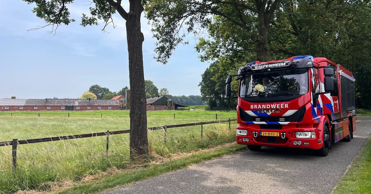 Brandweer spuit water op dak van varkensschuur in Neede vanwege warmte