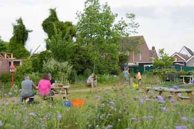 Rheden zet eetbaar groen en oogstbrigade in de schijnwerpers