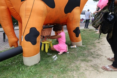 Dierenambulance komt naar feest van kinderboerderij Didam