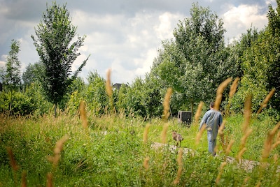 Klimaatwandeling voor Beuningse senioren