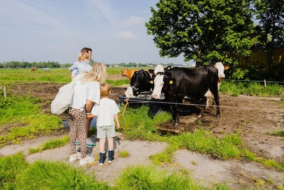 Weekendtips: deze dingen doe je in Ede (15-17 mei)
