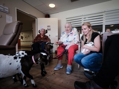 Jan (67) glimlacht weer als geitjes en cavia’s langskomen in het verzorgingshuis: ‘Het doet me aan v