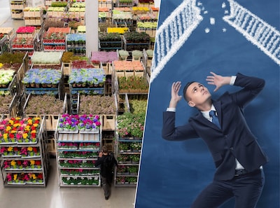 Bedrijf dat bloemencorners inricht bij AH, Jumbo en Plus failliet: 53 medewerkers op straat