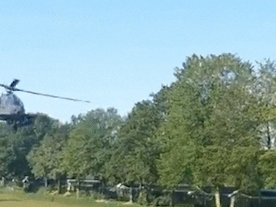 Defensie betaalt miljoenen aan schadeclaims: ‘Je ziet soms blinde paniek bij dieren’