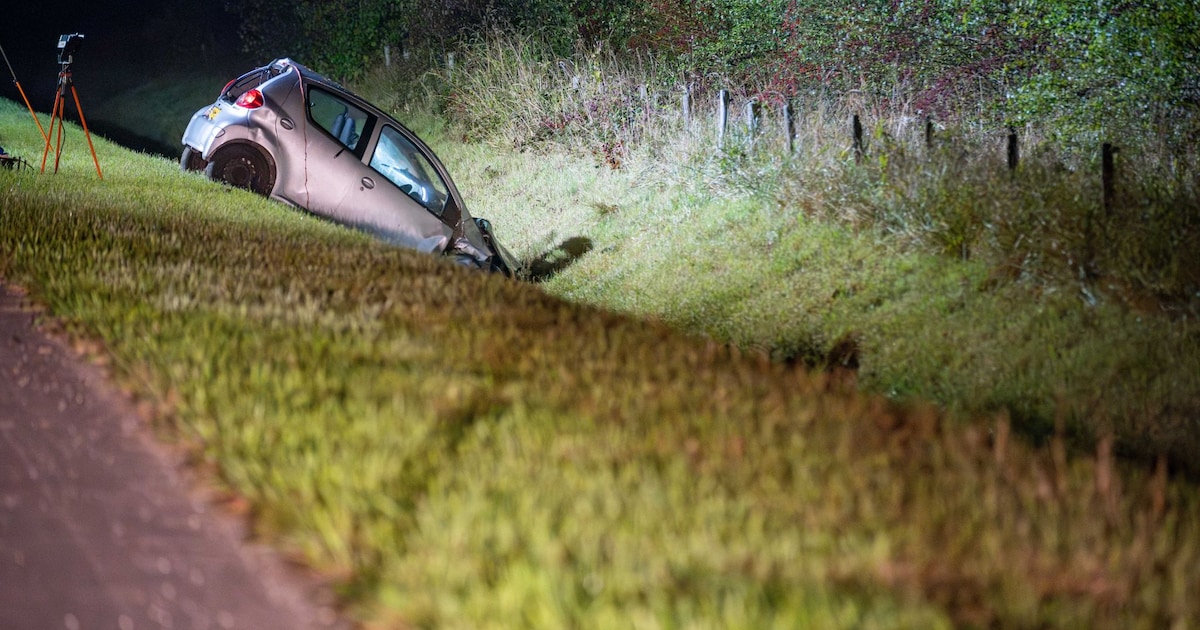 Bestuurder komt om het leven bij eenzijdig ongeluk bij Brummen.