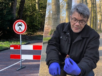 Als er niet snel wat verandert, sterven de padden hier uit, 