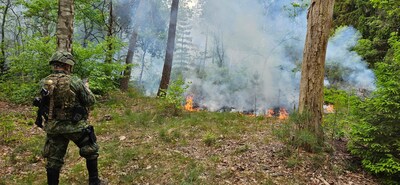 Militairen te paard sporen bosbrand op en weten erger te voorkomen
