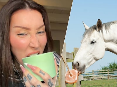 Nieuwe trend op TikTok: mensen eten paardensnoepjes, kan dat kwaad?