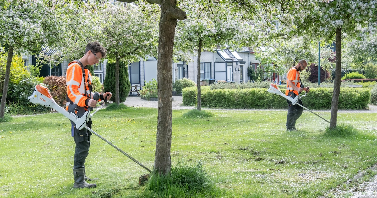Leusden zet extra geld in tegen onkruid tussen de tegels: ‘Het ziet er verzorgder uit’