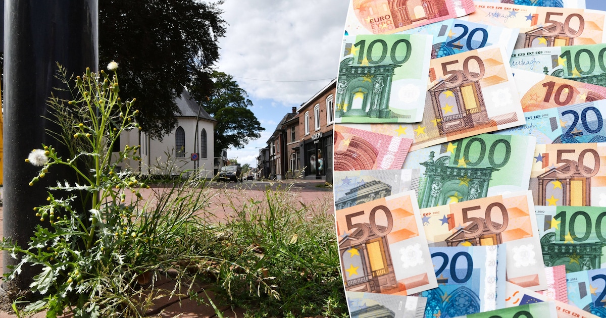 Van stroomstress tot schonere straten: hier gaat in Hof van Twente het ...