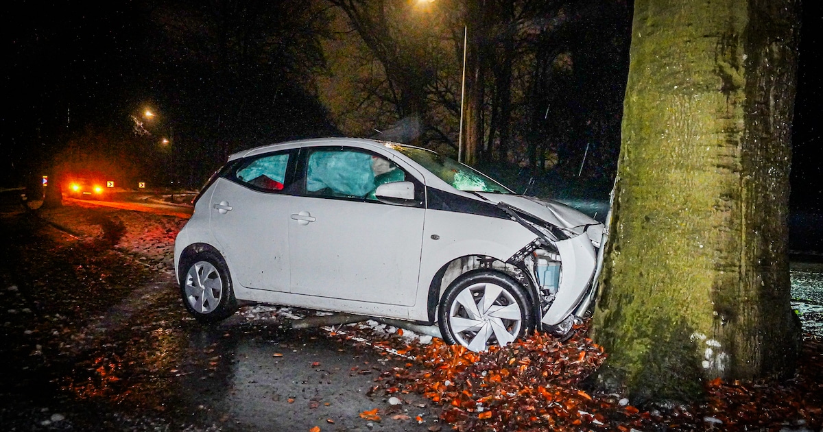 Auto botst tegen boom op de Schelmseweg in Oosterbeek