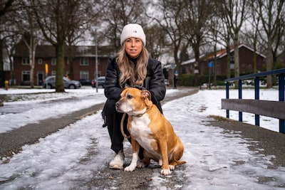 Vermiste Wendy (10) liet hond uit toen ze door Kimberly werd herkend: ‘Ik dacht: het zal toch niet?’