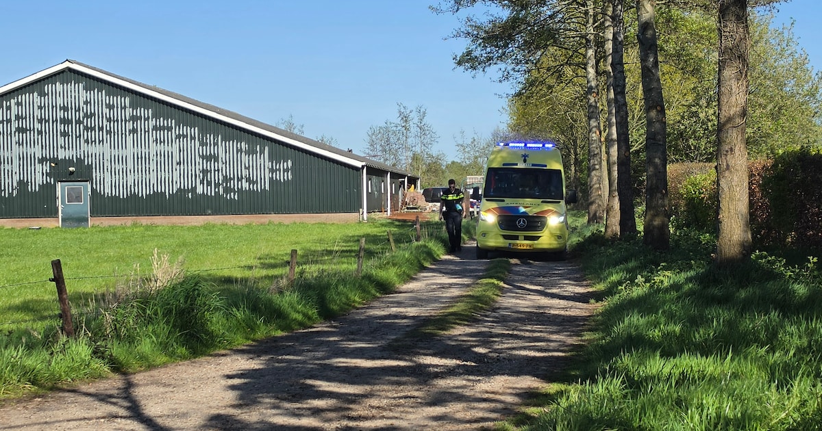 Hulpdiensten rukken groots uit voor bedrijfsongeval: medewerker ernstig gewond