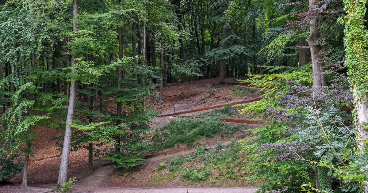 Ochtendwandeling op landgoed Mariëndaal