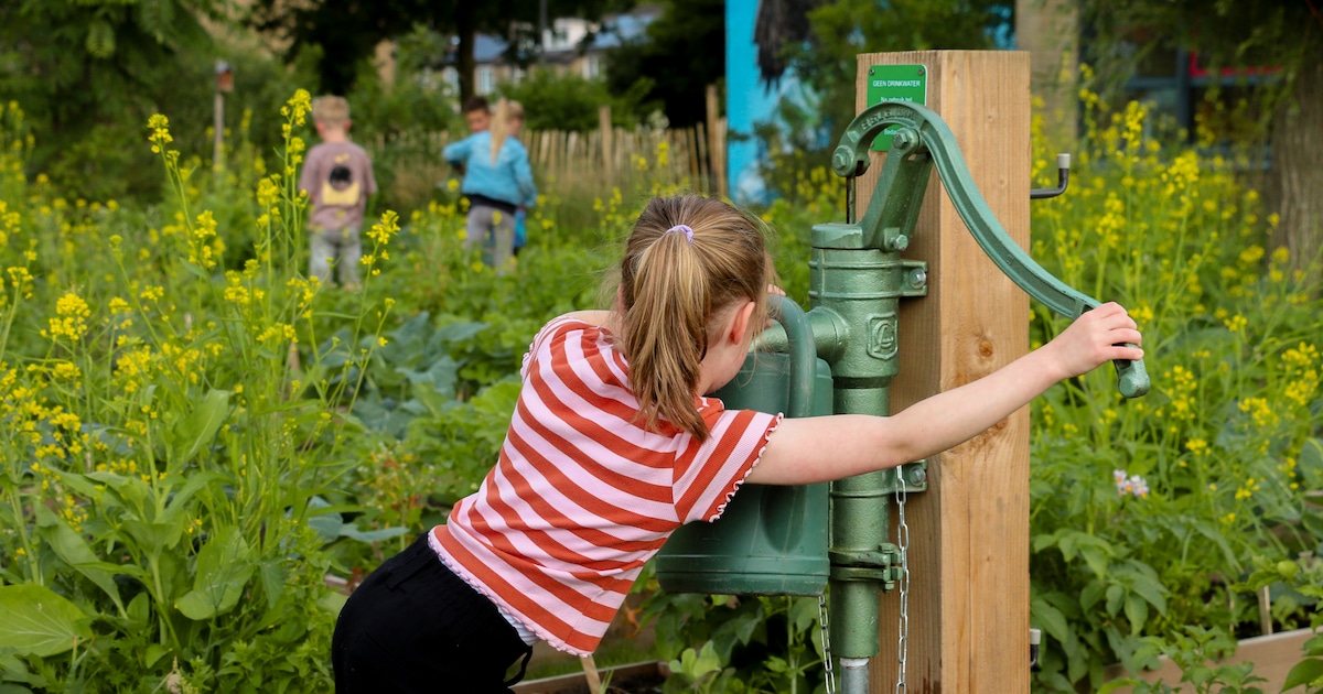 Feestelijke opening Week van de Schooltuin in Wijchen