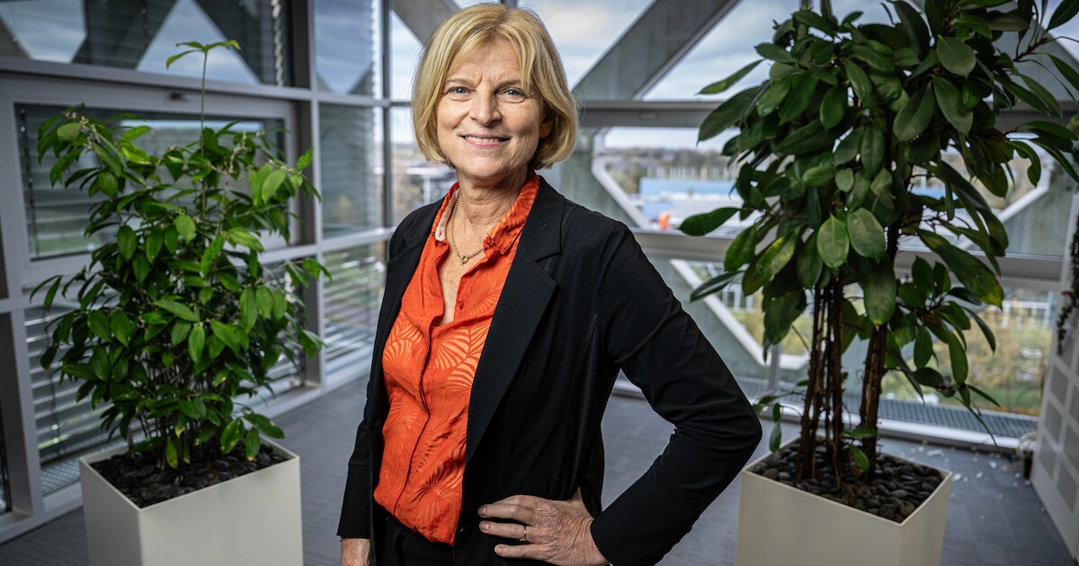 universiteiten-dalen-op-internationale-ranglijst-wur-ontspringt-de