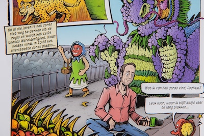 Slordige misser of plaagstoot? Springlevend Fruitcorso dood en begraven in Tiels stripboek