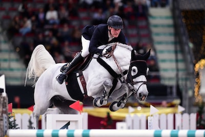 Door een reeks van toevalligheden vond springruiter Roel Holthuizen uit Elst over de grens het ultie