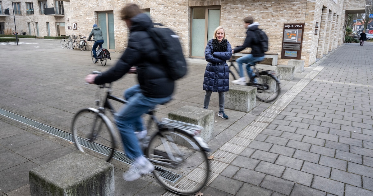 Gebroken ribben, blauwe plekken: nu worden ‘struikelblokken’ wit ...