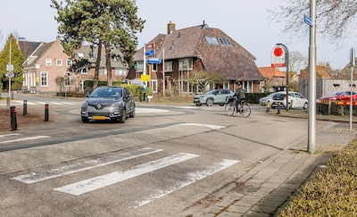 Met vervallen villa’s koopt Culemborg ook ruimte om het hele gebied te herinrichten