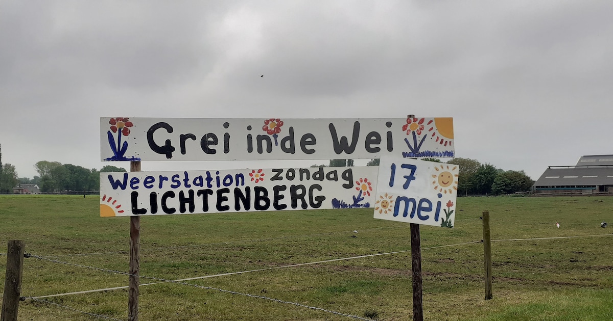 Rommelmarkt ‘Grei in de Wei’ zondag in Silvolde