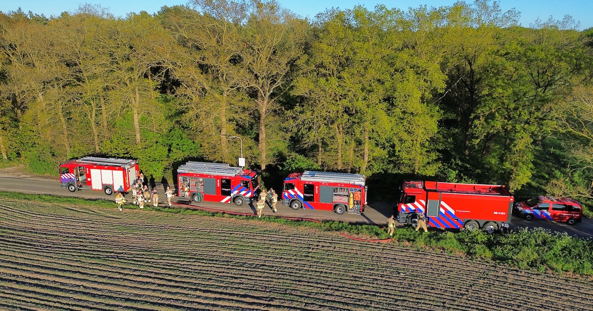 Brandweer rukt uit voor forse bosbrand in Malden
