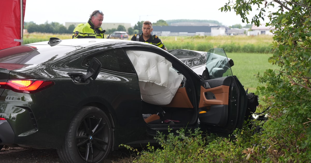 56-jarige man uit Veen overleden na botsing met boom in Wijk en Aalburg