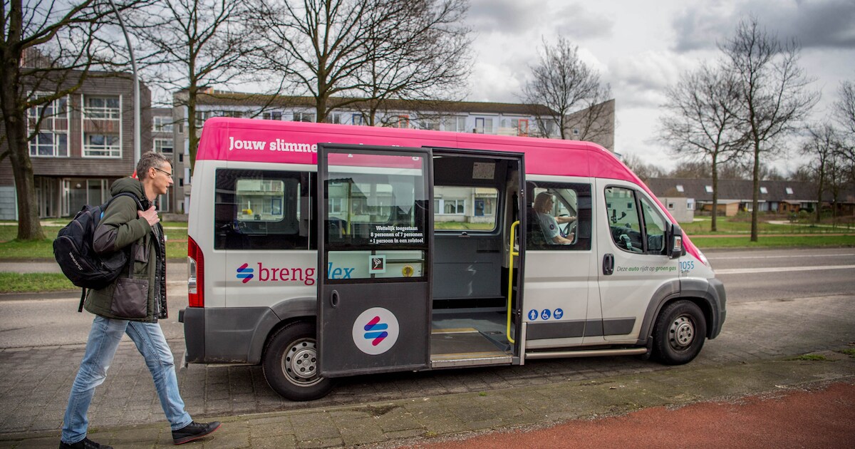 'Bestelbus' van Breng kan volle kracht vooruit | Regio | De Gelderlander.nl