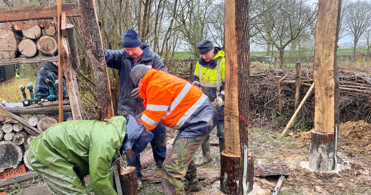 Nieuw onderkomen voor de bijen en zestig jaar vriendschap