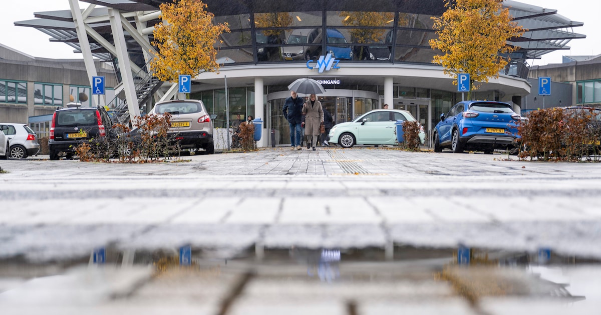 Wandelen en samen in gesprek over kanker | Nijmegen | gelderlander.nl
