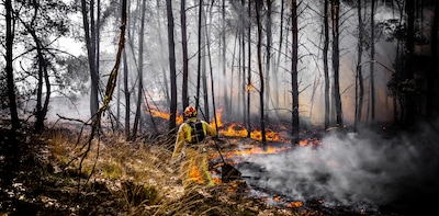 Live Natuurbranden | Grote brand langs A1 onder controle, meerdere nieuwe bosbranden in het land geblust